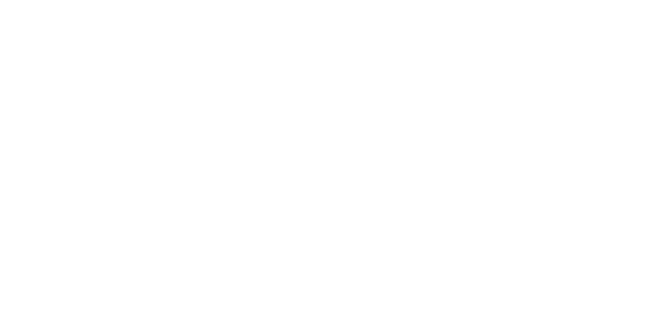 The Fake Wedding